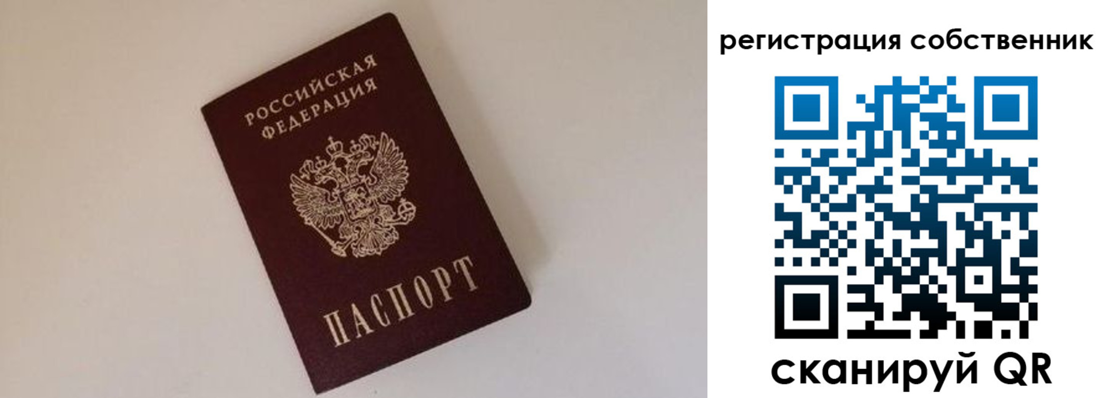 временная регистрация надежно в Заречном